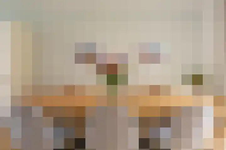 Jules Massenethof 21 Den Haag thumbnail 32