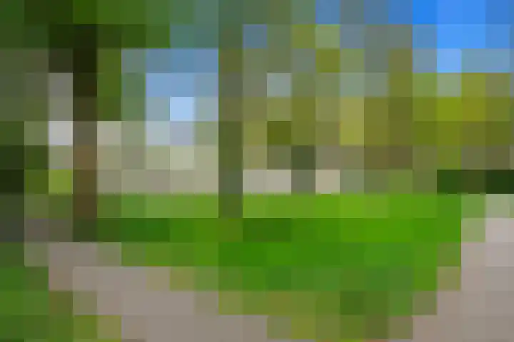 Jules Massenethof 21 Den Haag thumbnail 34