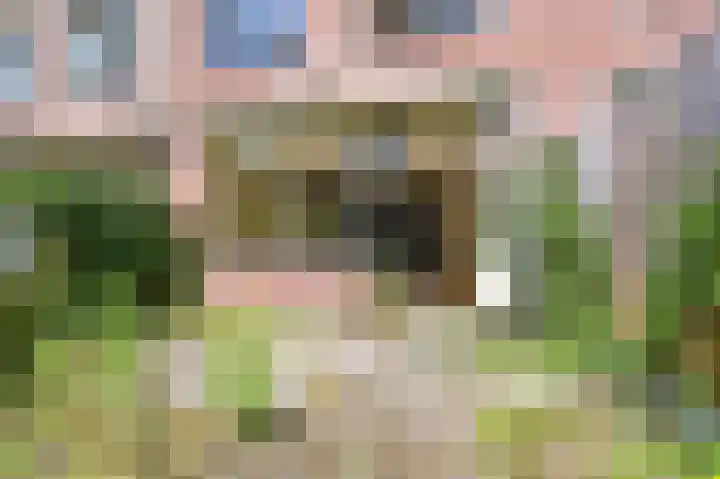 Jules Massenethof 22 Den Haag thumbnail 11