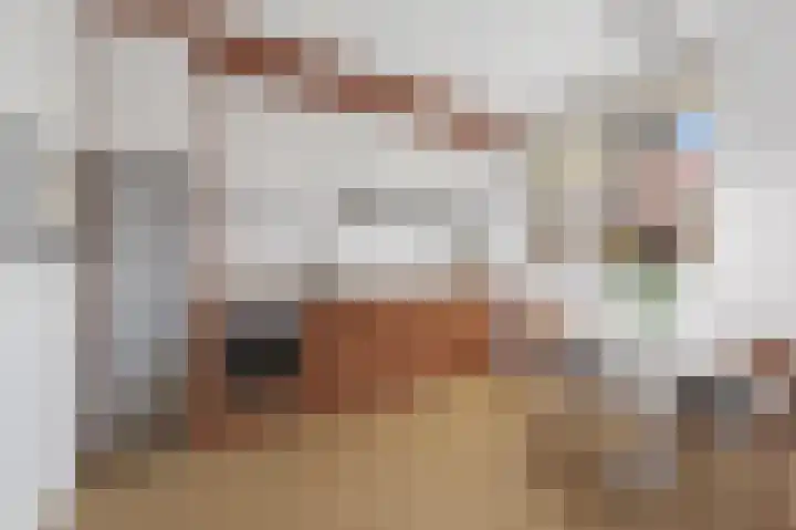 Jules Massenethof 22 Den Haag thumbnail 15