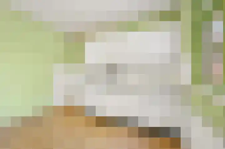 Jules Massenethof 22 Den Haag thumbnail 16
