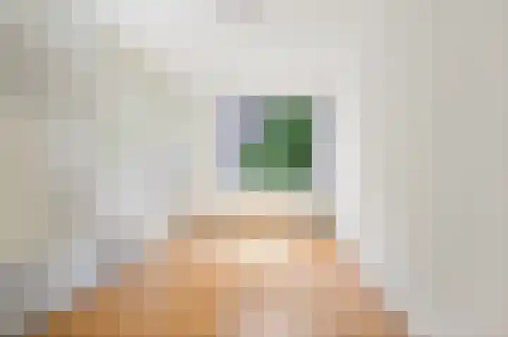 Jules Massenethof 22 Den Haag thumbnail 20