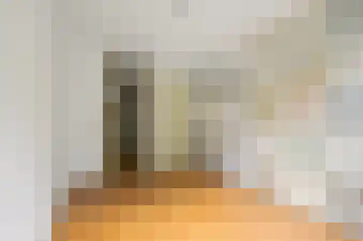 Jules Massenethof 22 Den Haag thumbnail 21