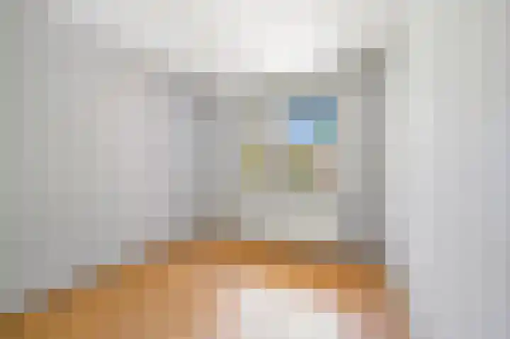 Jules Massenethof 22 Den Haag thumbnail 32