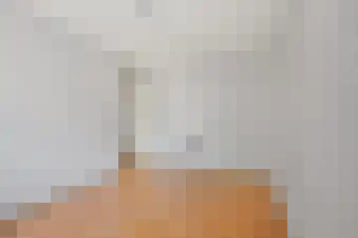 Jules Massenethof 22 Den Haag thumbnail 33
