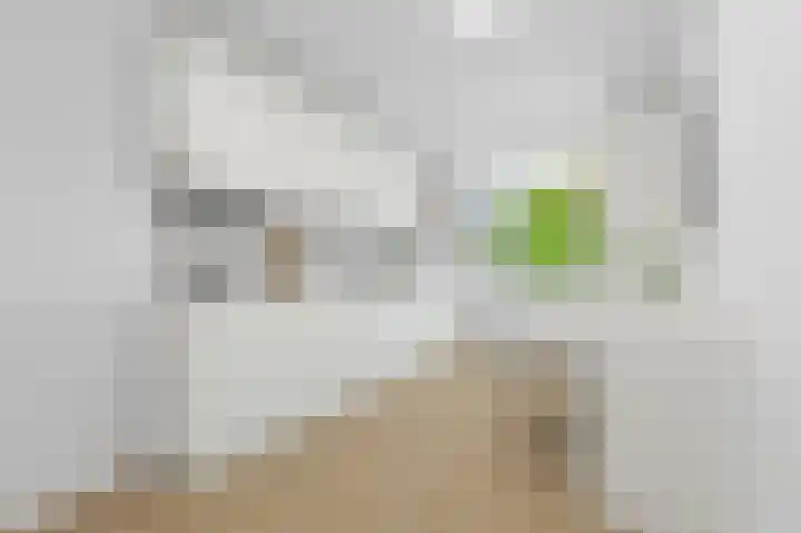 Jules Massenethof 34 Den Haag thumbnail 19