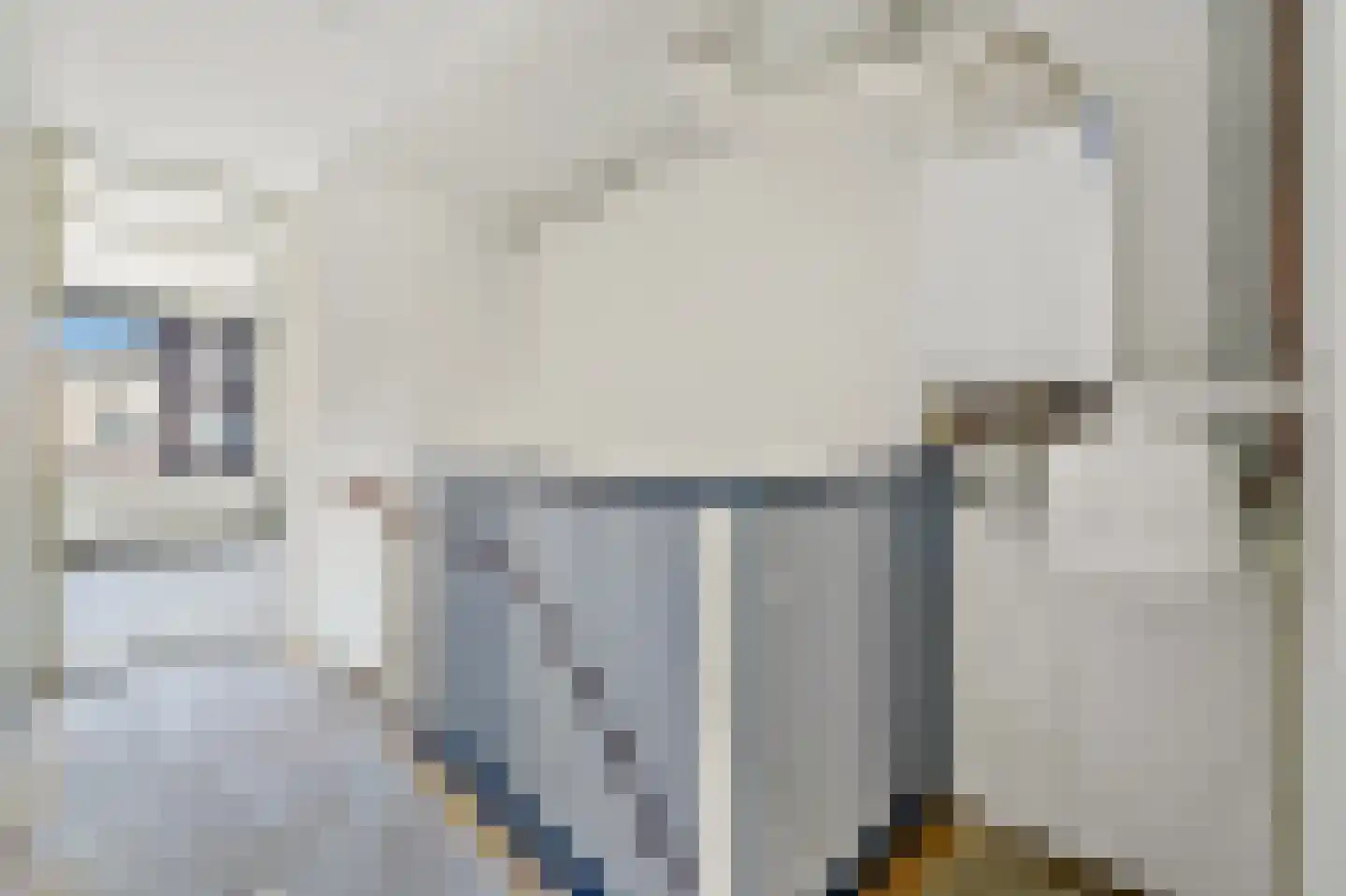Jules Massenethof 4 Den Haag thumbnail 29