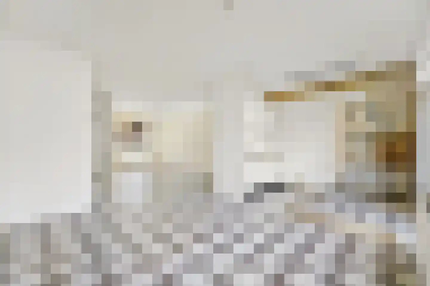 Jules Massenethof 4 Den Haag thumbnail 6