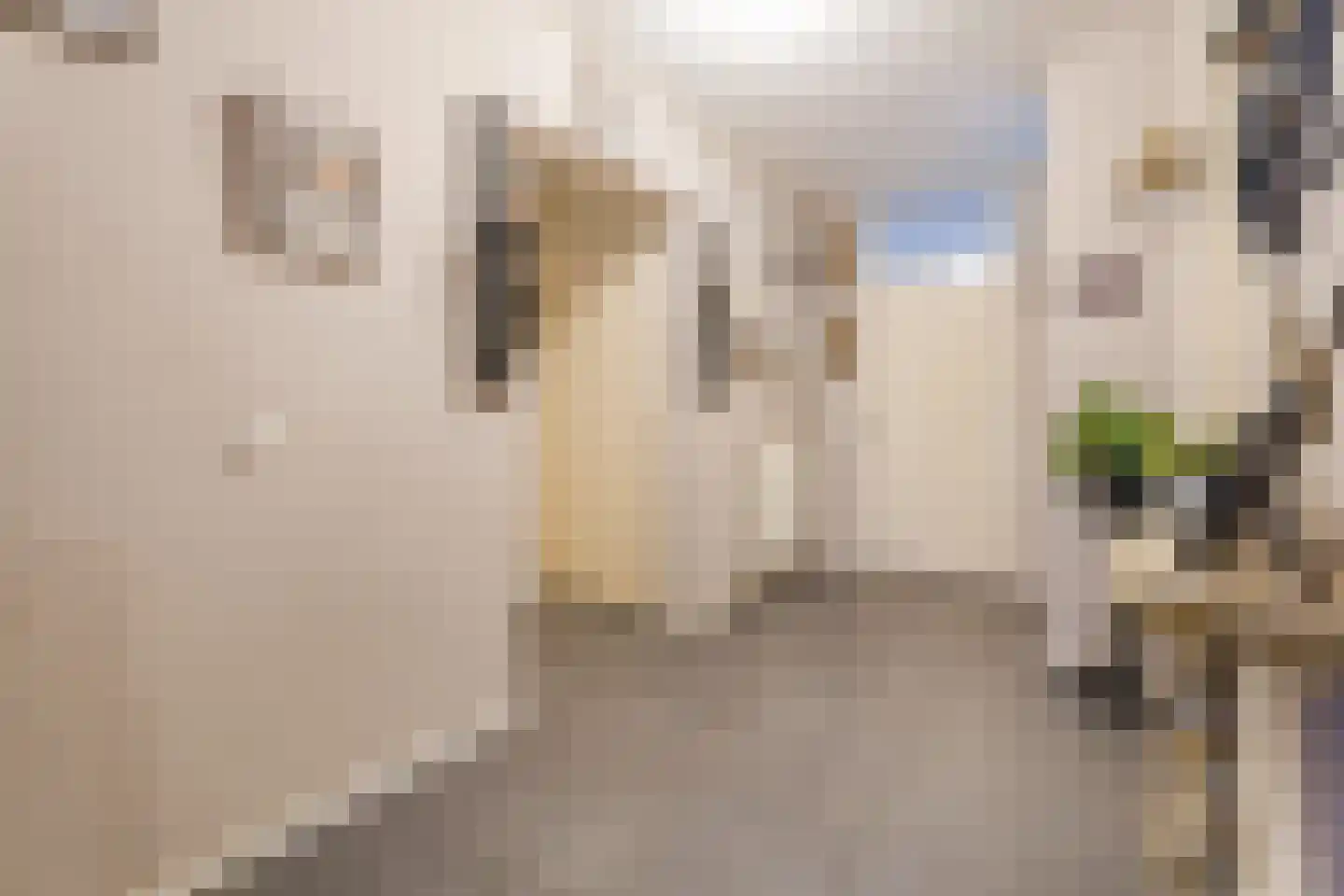 Jules Massenetstraat 164 Den Haag thumbnail 6