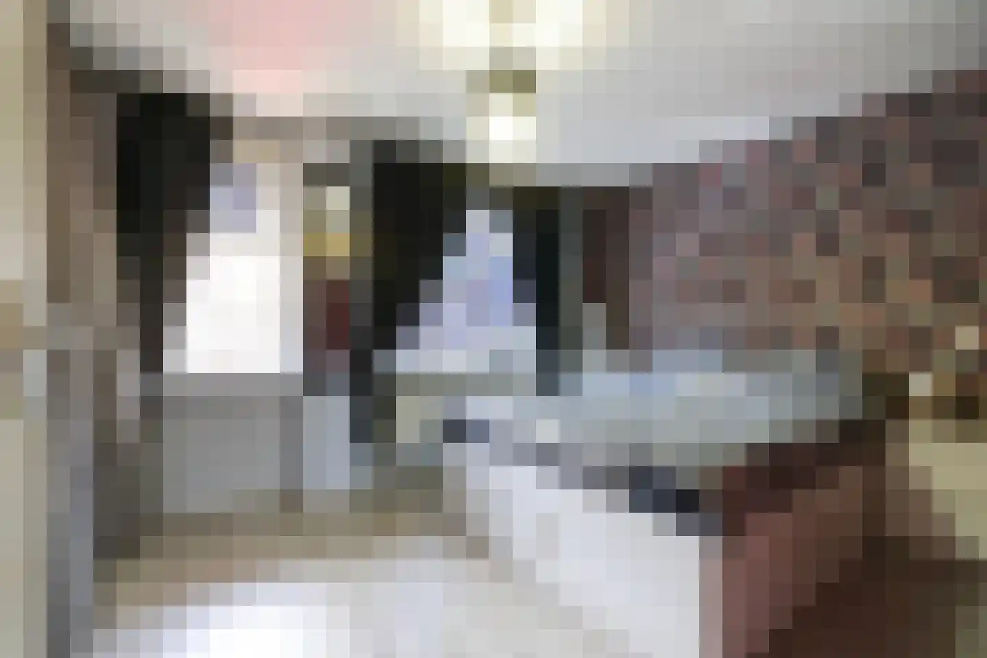 Jules Massenetstraat 186 Den Haag thumbnail 5