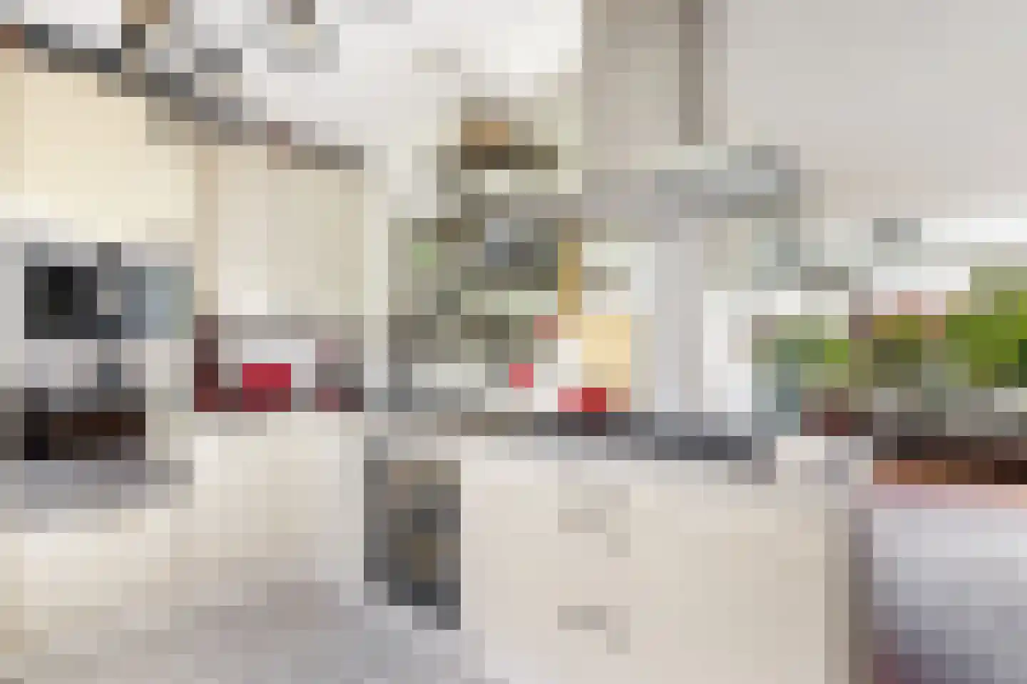 Jules Vernehof 19 Woerden thumbnail 14