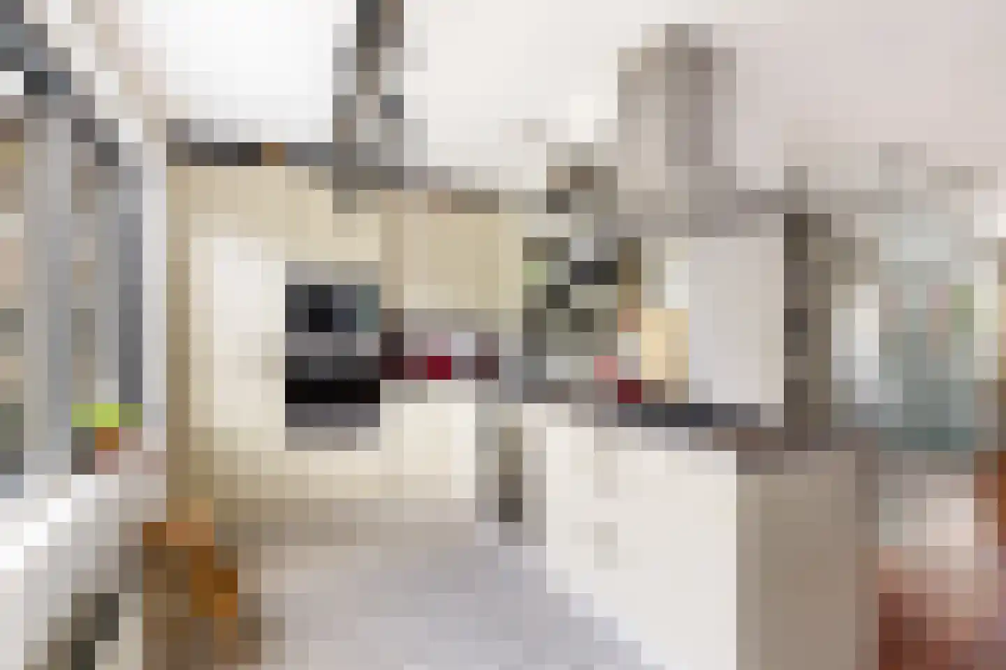 Jules Vernehof 19 Woerden thumbnail 16