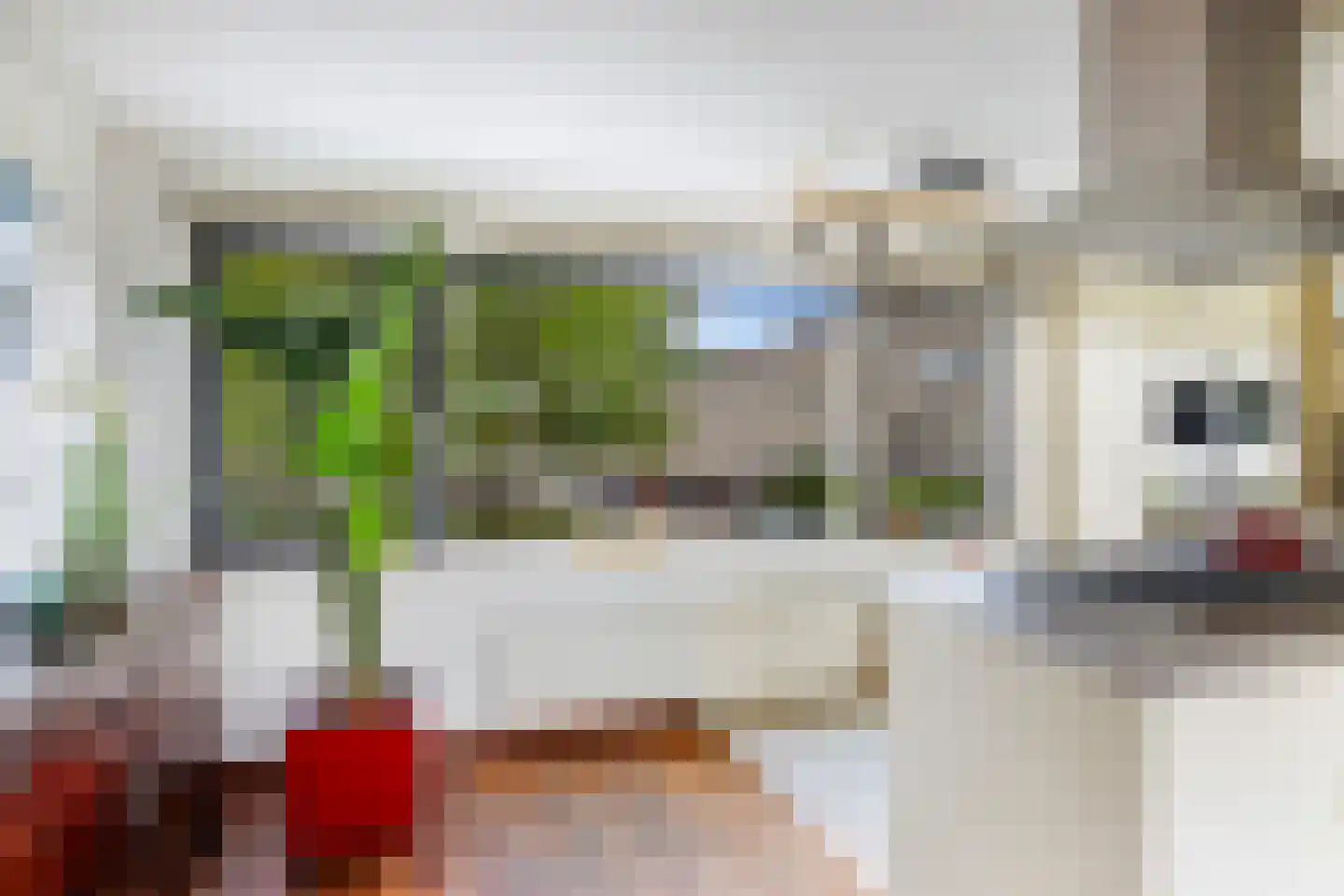 Jules Vernehof 19 Woerden thumbnail 17