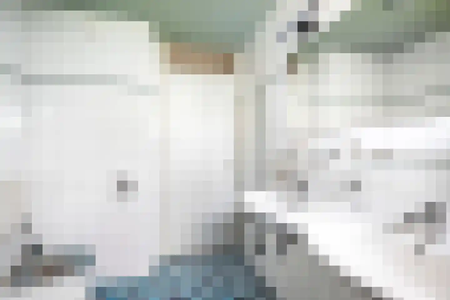 Jules Vernehof 19 Woerden thumbnail 24