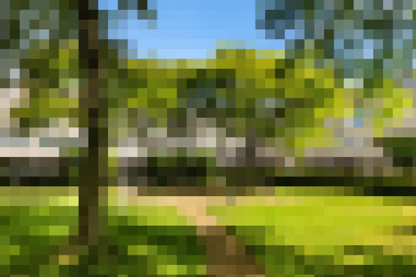 Jules Vernehof 19 Woerden thumbnail 43