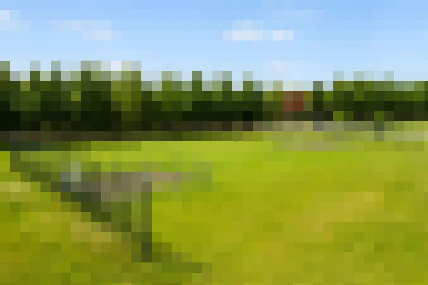 Jules Vernehof 19 Woerden thumbnail 47