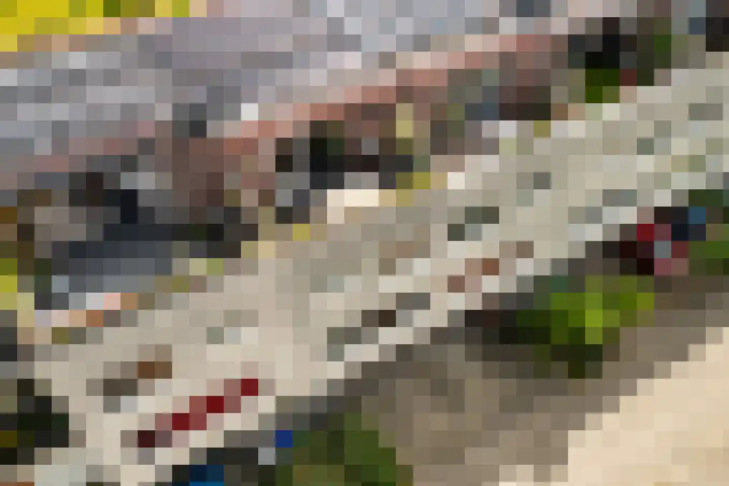 Jules Vernehof 19 Woerden thumbnail 60