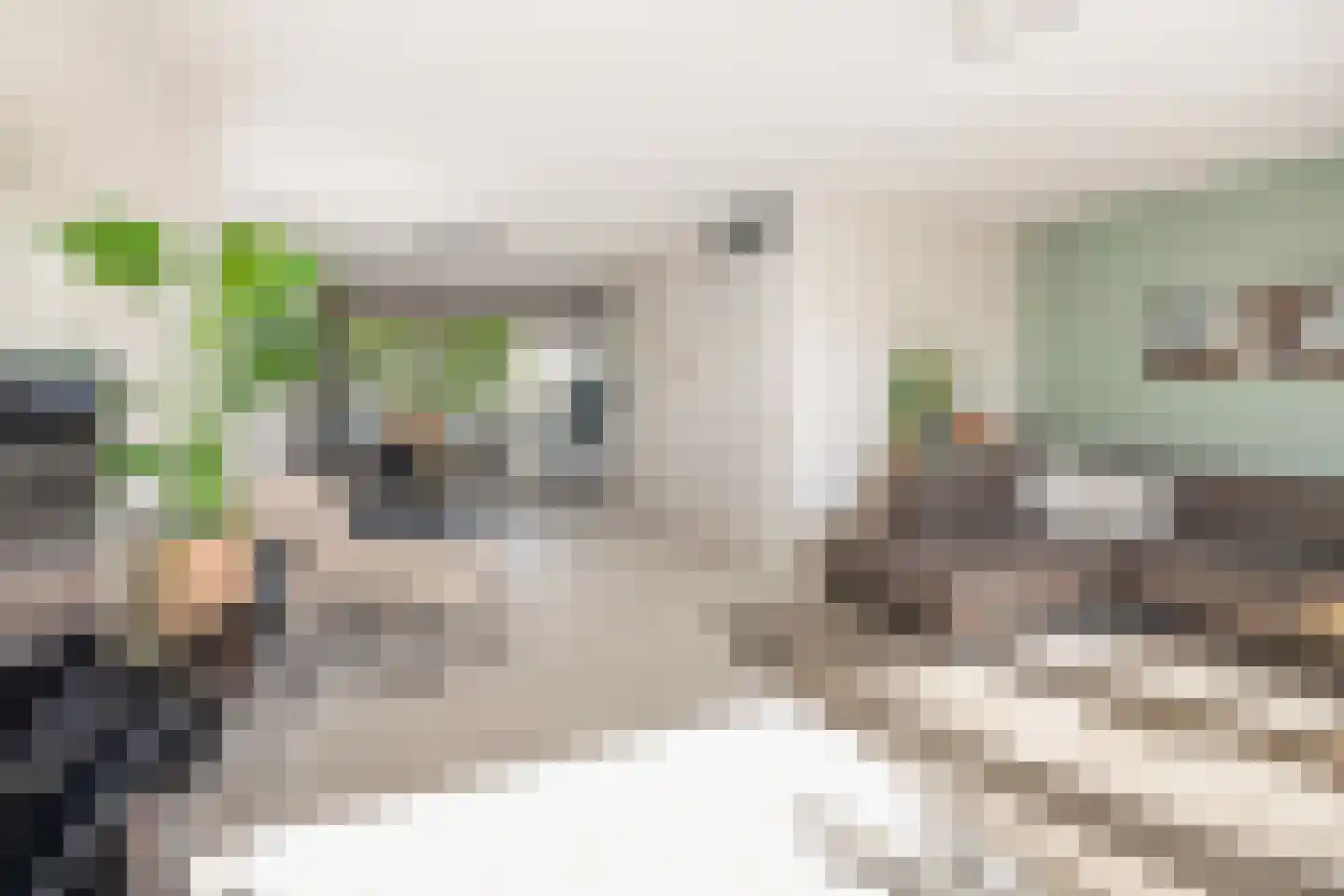 Jules Vernehof 29 Woerden thumbnail 4