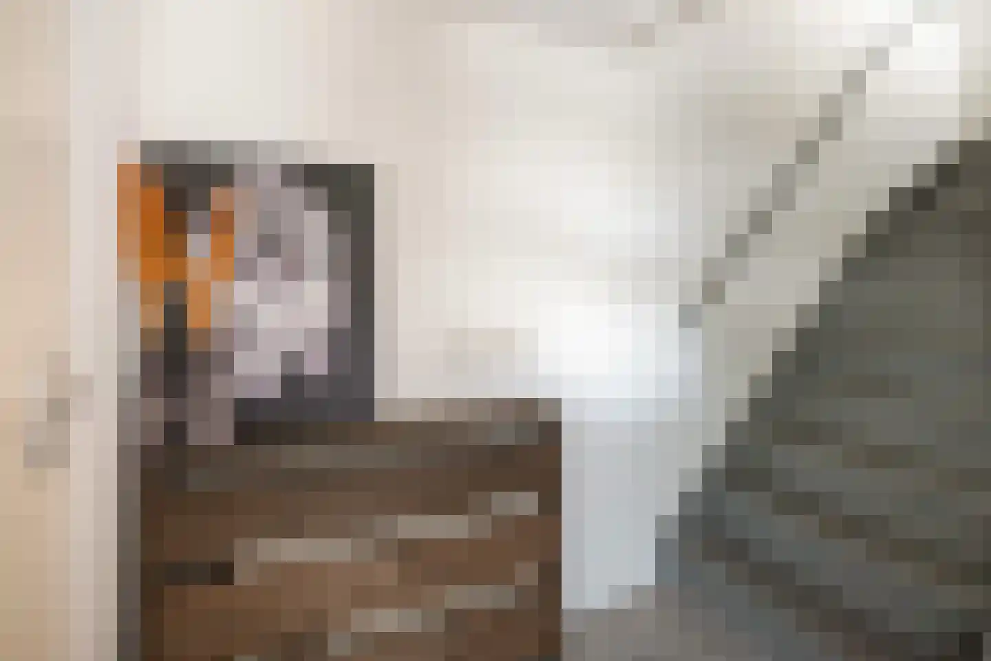 Jules Vernehof 29 Woerden thumbnail 9