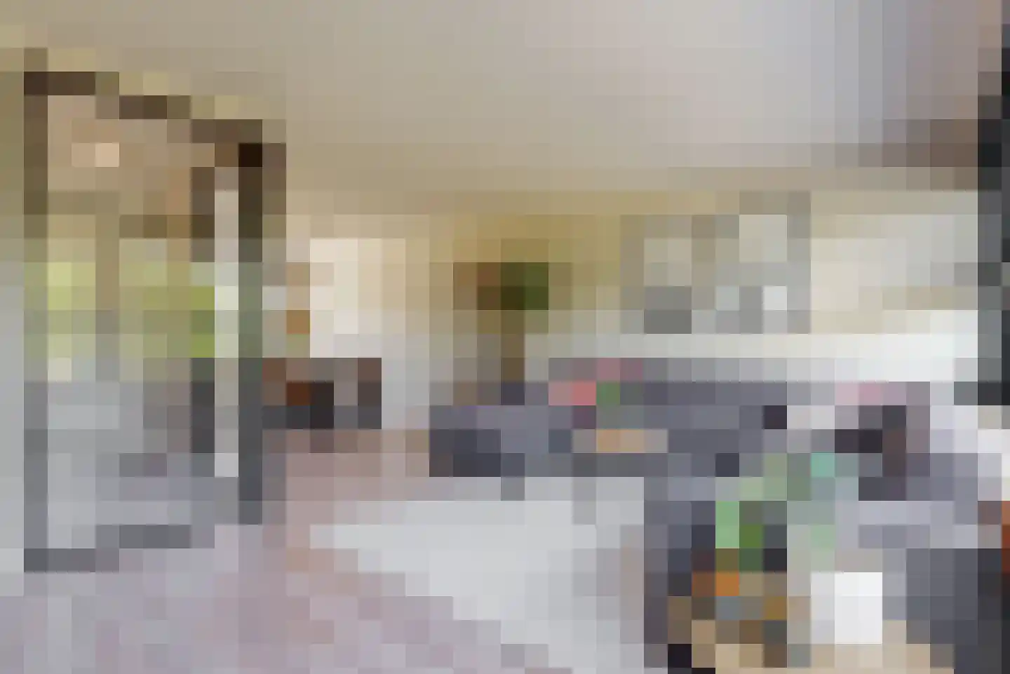Jules Vernehof 6 Woerden thumbnail 17