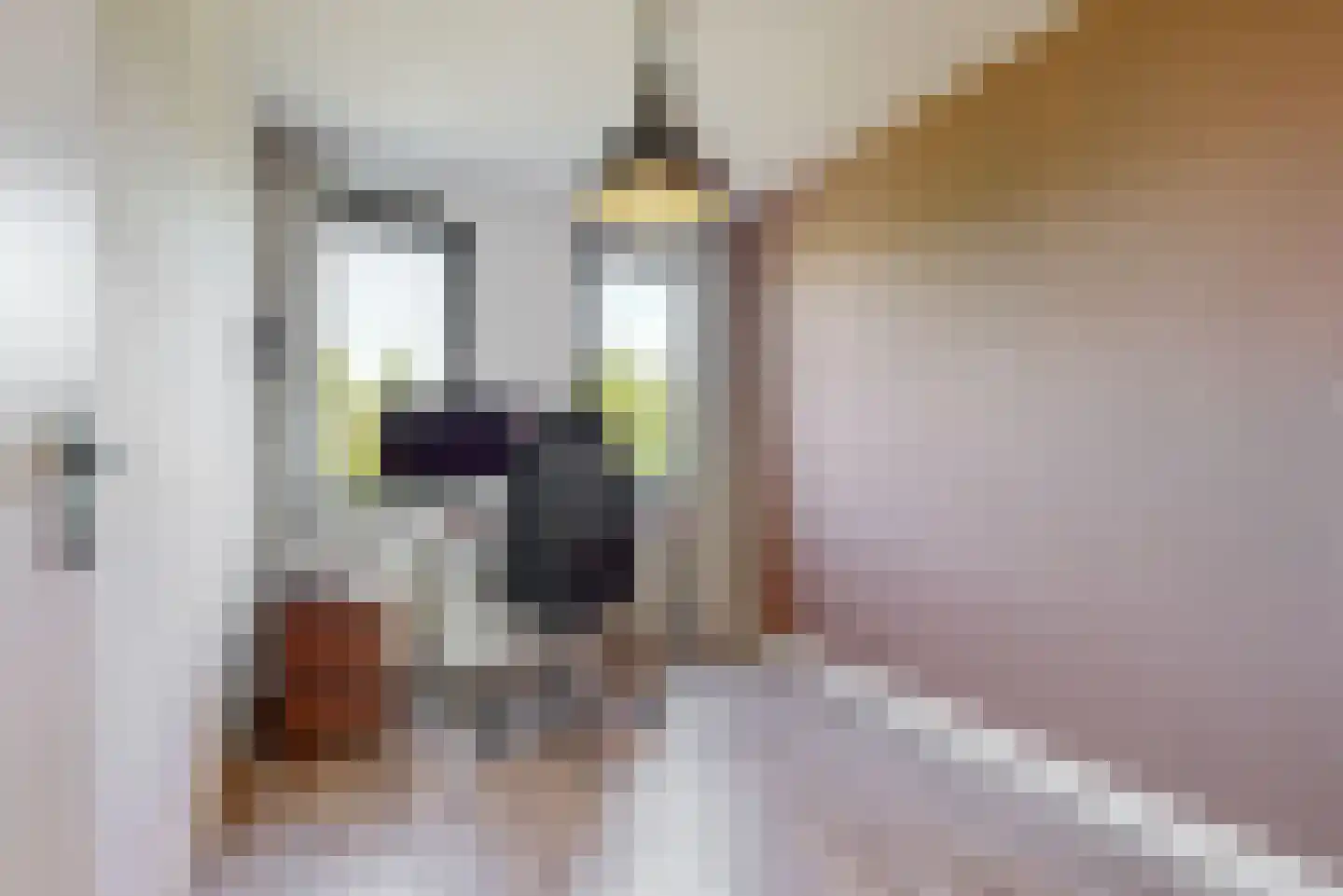 Jules Vernehof 6 Woerden thumbnail 27