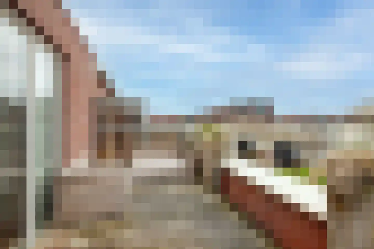 Jules Vernehof 7 Woerden thumbnail 35