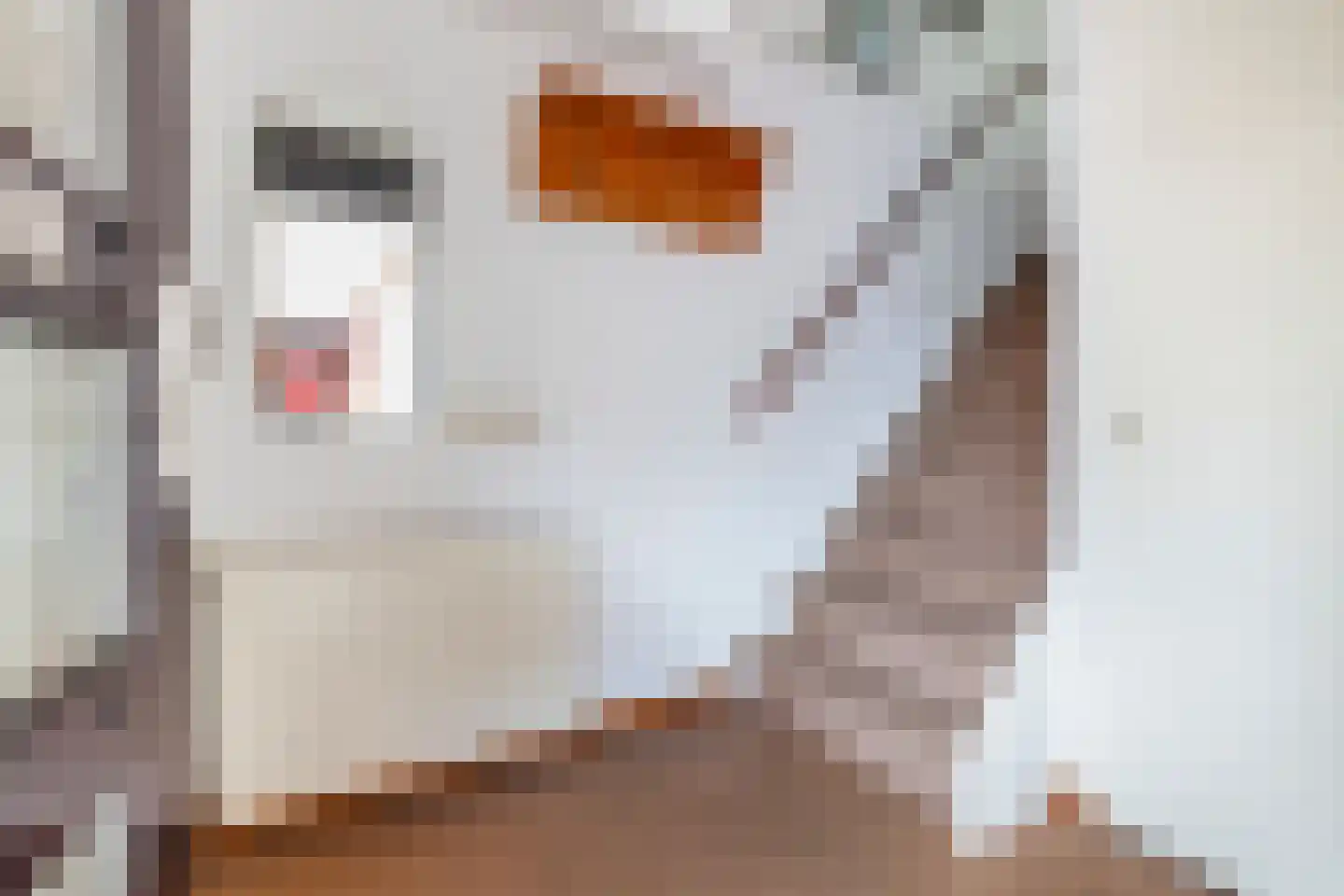 Jules Vernehof 7 Woerden thumbnail 6
