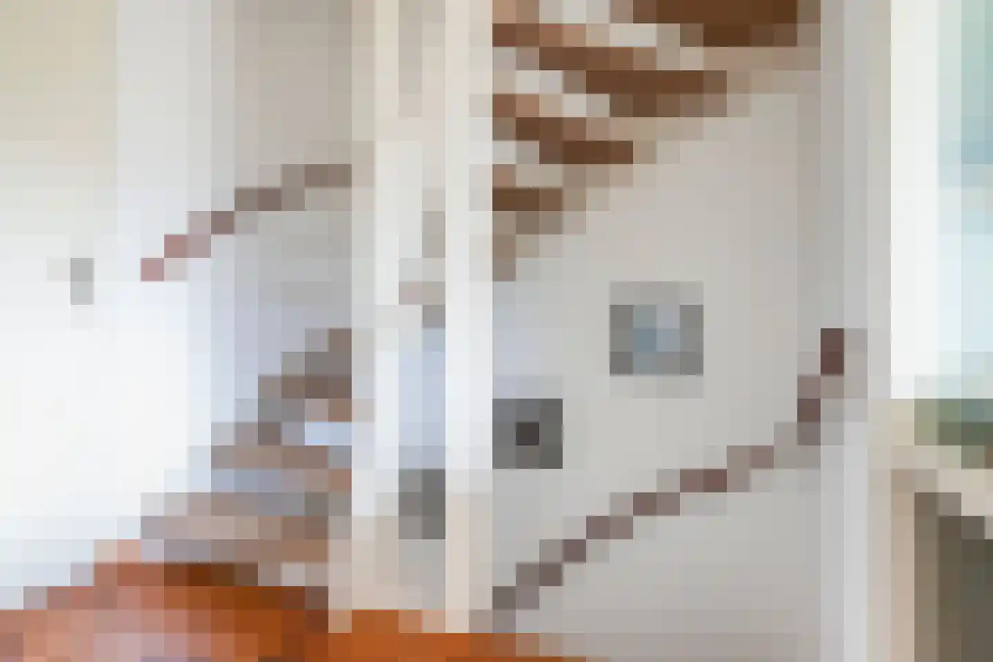 Jules Vernehof 7 Woerden thumbnail 9
