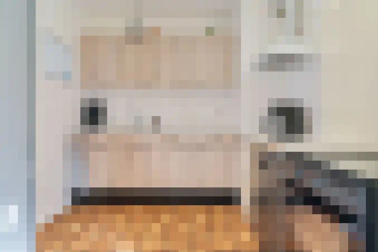 Julia Culpstraat 14 Hengelo thumbnail 13