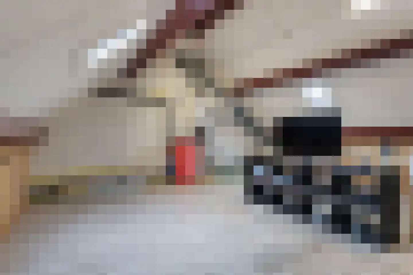 Julia Culpstraat 14 Hengelo thumbnail 34