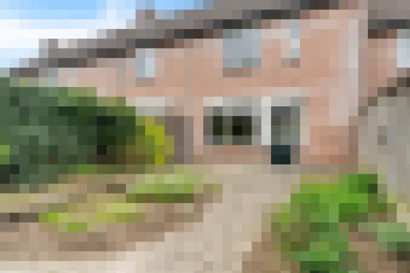 Julia Culpstraat 14 Hengelo thumbnail 40