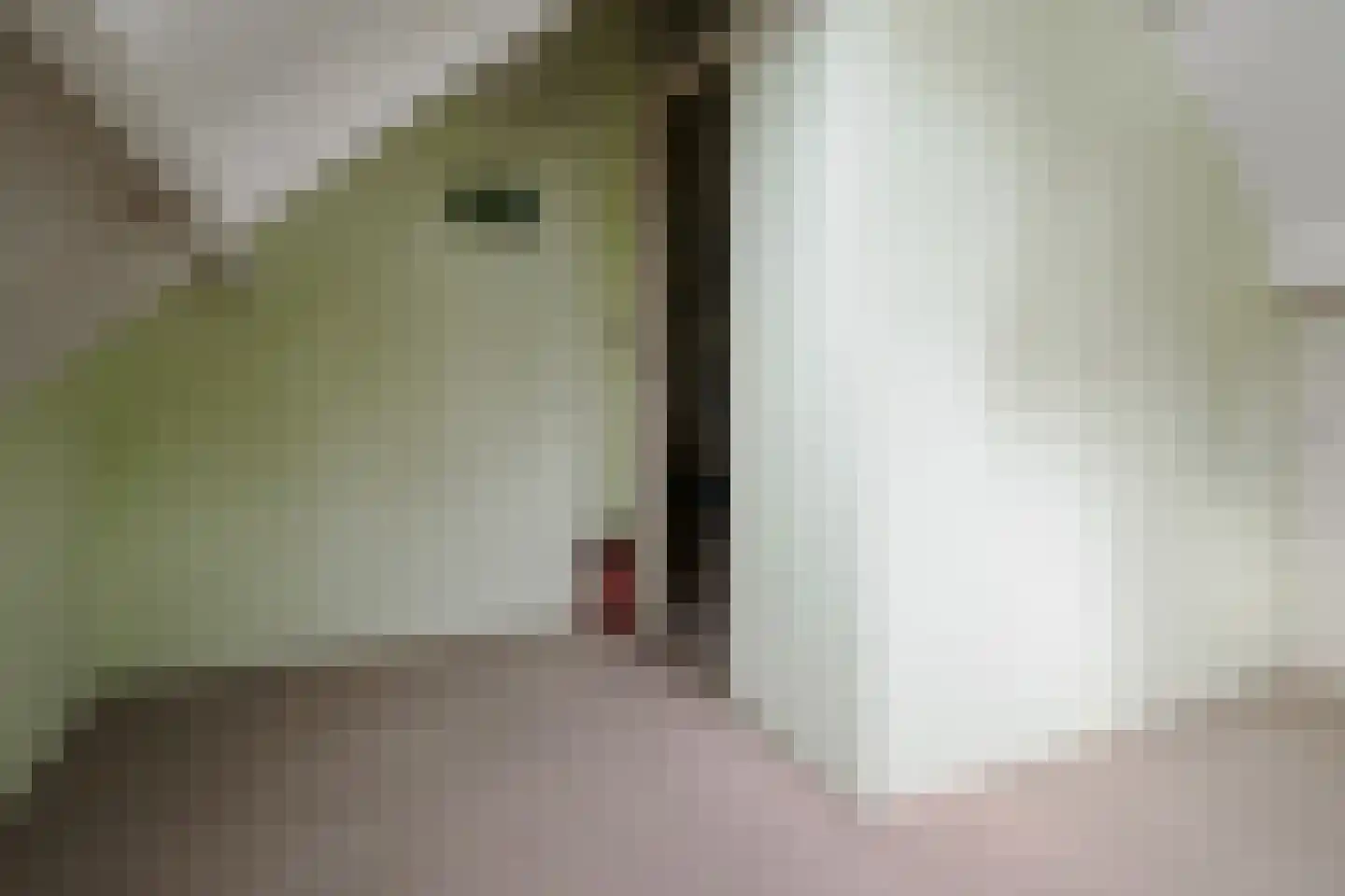 Julia Culpstraat 24 Hengelo thumbnail 34