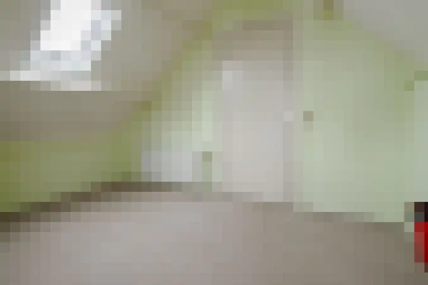 Julia Culpstraat 24 Hengelo thumbnail 36