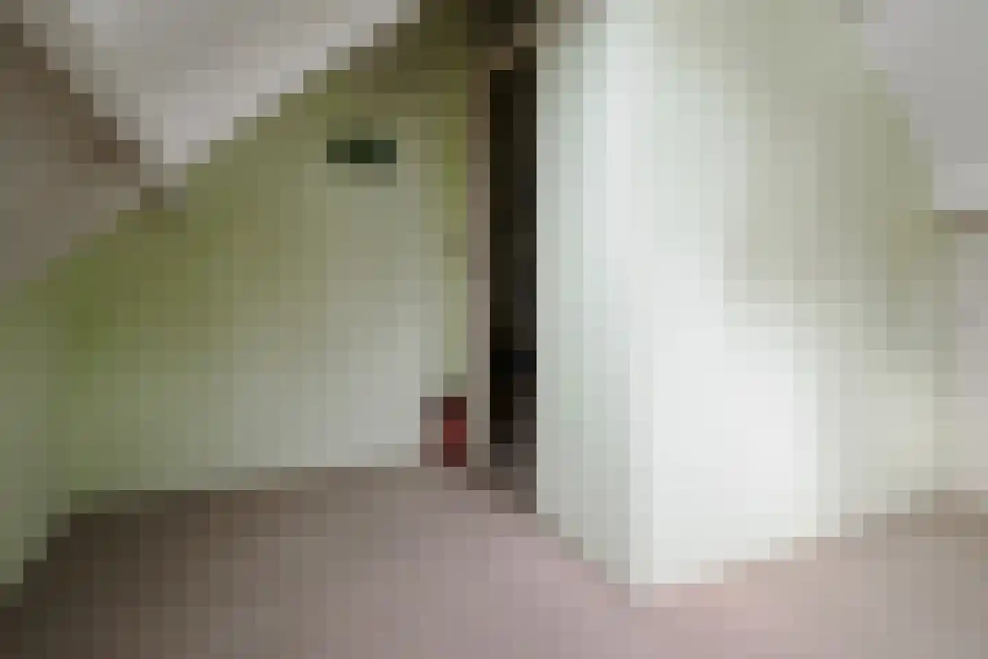 Julia Culpstraat 24 Hengelo thumbnail 36