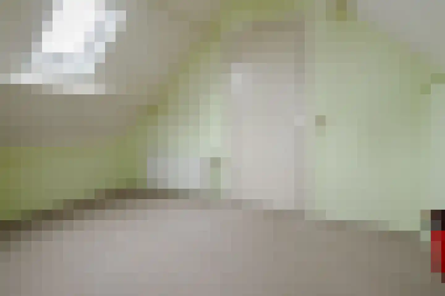 Julia Culpstraat 24 Hengelo thumbnail 36