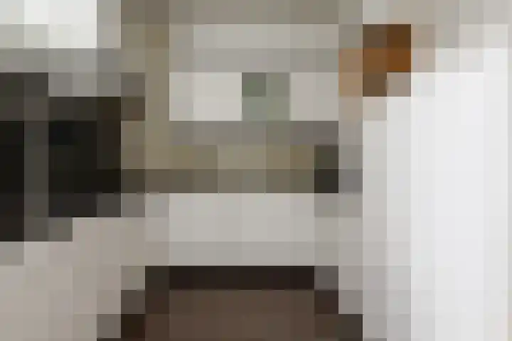 Julia Culpstraat 7 Hengelo thumbnail 10