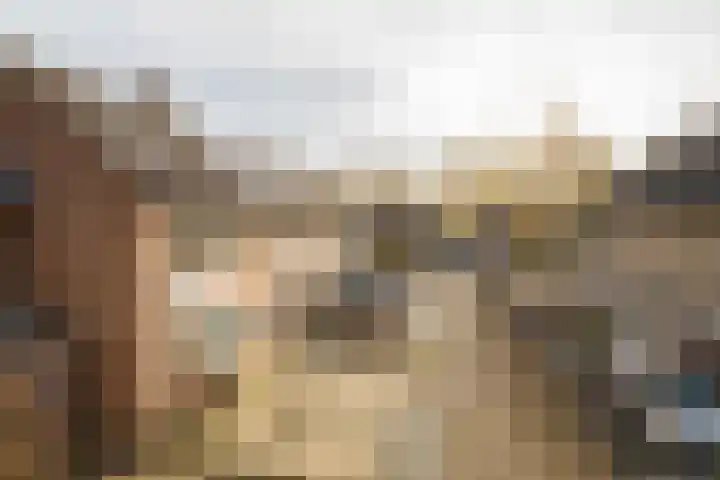 Julia Culpstraat 7 Hengelo thumbnail 33