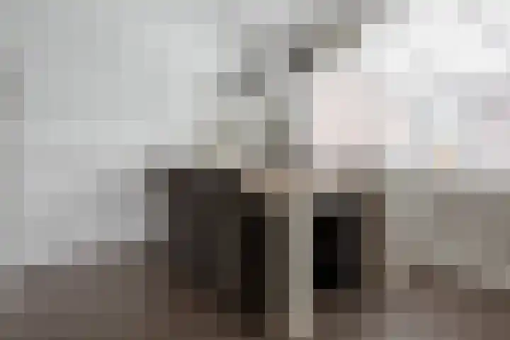 Julia Culpstraat 7 Hengelo thumbnail 9