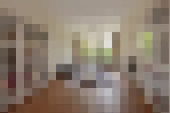 Julialaantje 5 Rijswijk thumbnail 10
