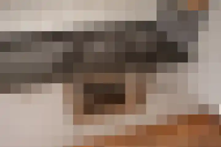 Julialaantje 5 Rijswijk thumbnail 16