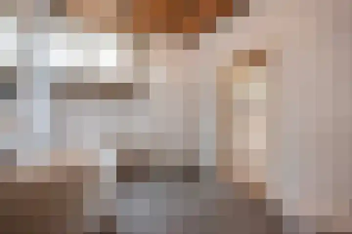 Julialaantje 5 Rijswijk thumbnail 24