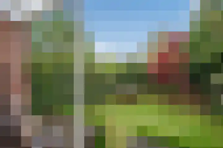 Julialaantje 5 Rijswijk thumbnail 28