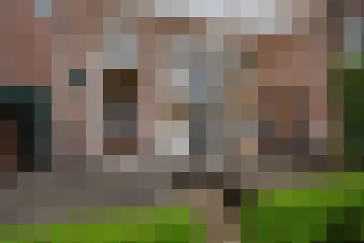 Julialaantje 5 Rijswijk thumbnail 29