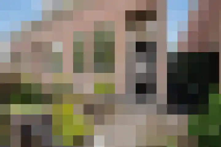 Julialaantje 5 Rijswijk thumbnail 30