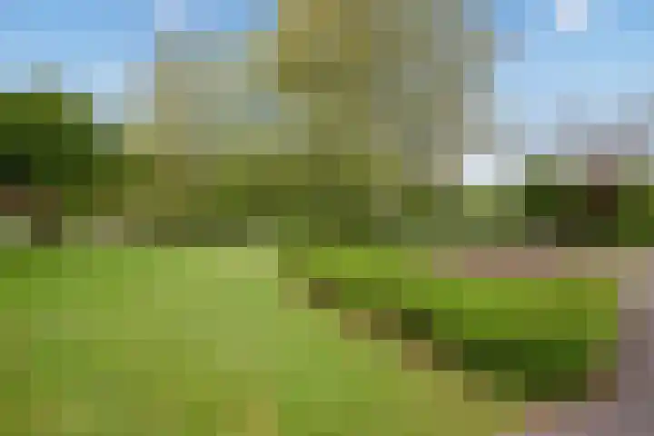 Julialaantje 5 Rijswijk thumbnail 32