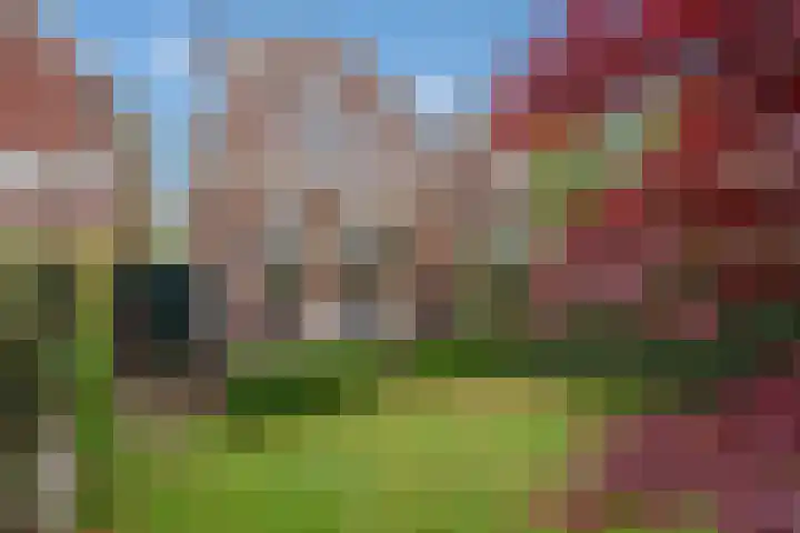 Julialaantje 5 Rijswijk thumbnail 4