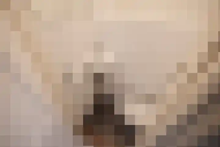 Julialaantje 5 Rijswijk thumbnail 6