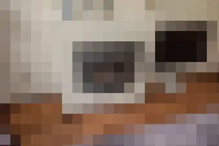 Julialaantje 5 Rijswijk thumbnail 8