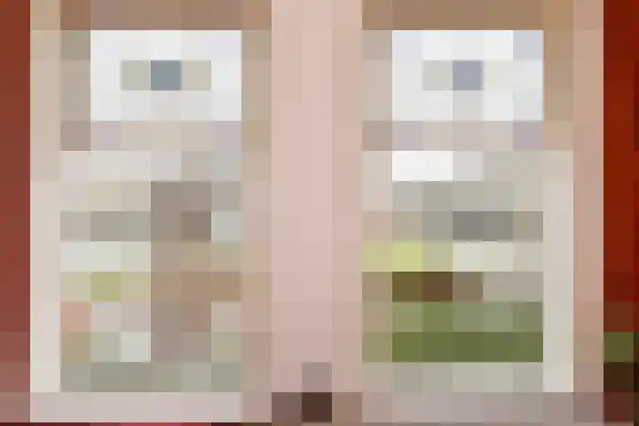 Julialaantje 7 Rijswijk thumbnail 14