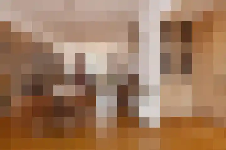 Julialaantje 7 Rijswijk thumbnail 21